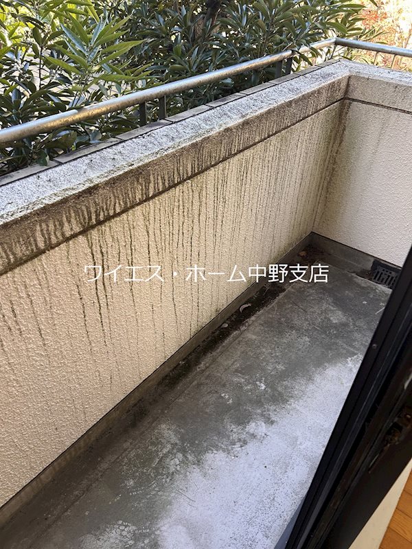 その他19