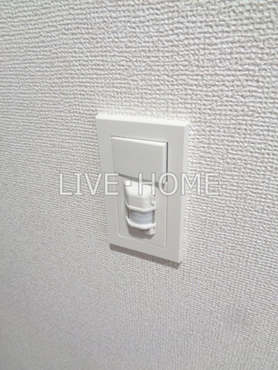 その他11
