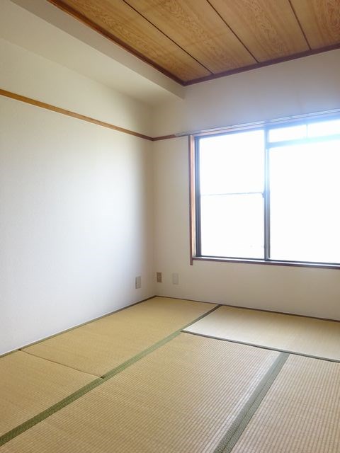 その他12