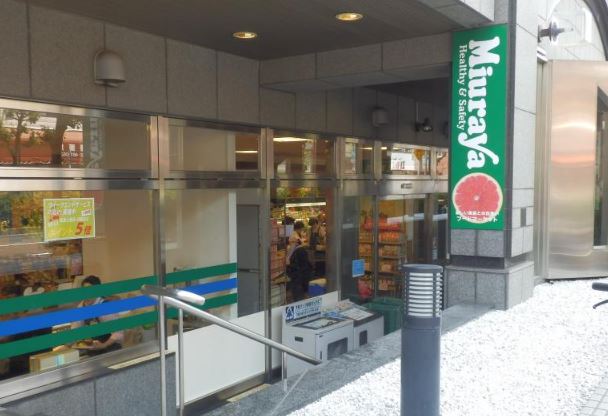 グランソフィア武蔵野市緑町 周辺画像6