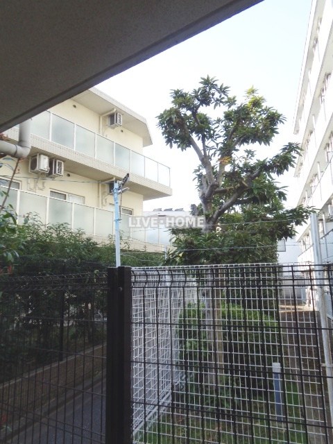 その他17
