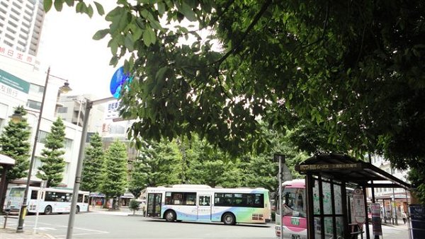 Ｒｏｙａｌ　Ｈｉｌｌｓ　けや木 その他8