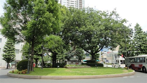 Ｒｏｙａｌ　Ｈｉｌｌｓ　けや木 その他9
