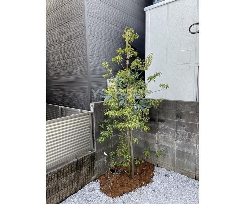 その他18
