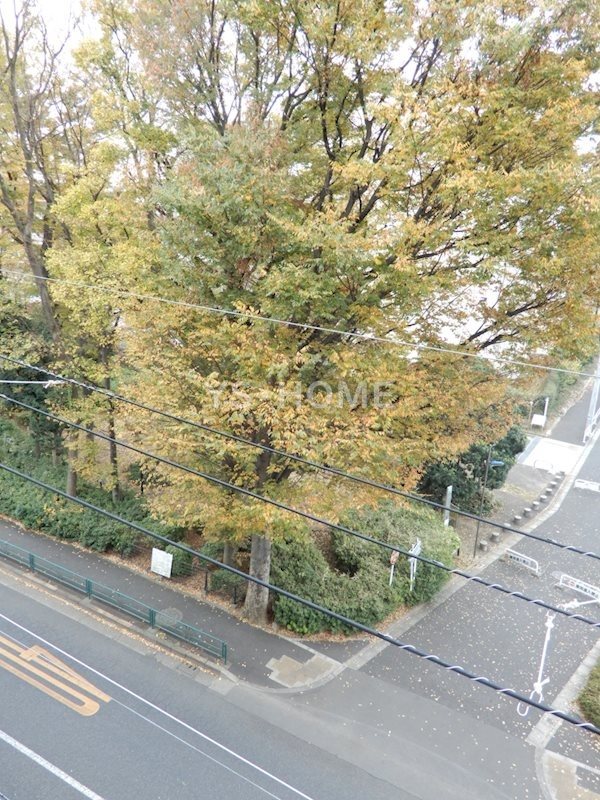 その他17