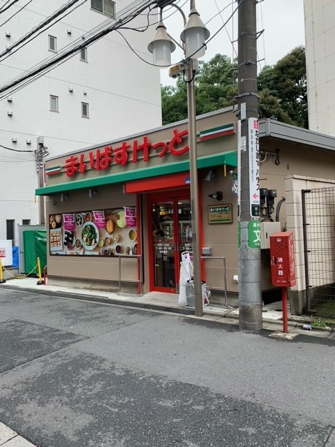 SUNBRIGHT OGIKUBO（サンブライトオギクボ） 周辺画像6