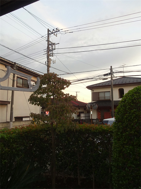 パークヒル武蔵野 その他15