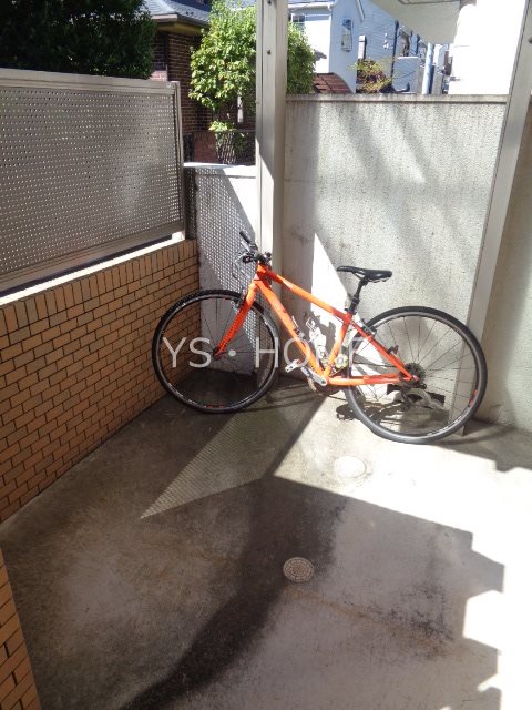 プラム　 その他8