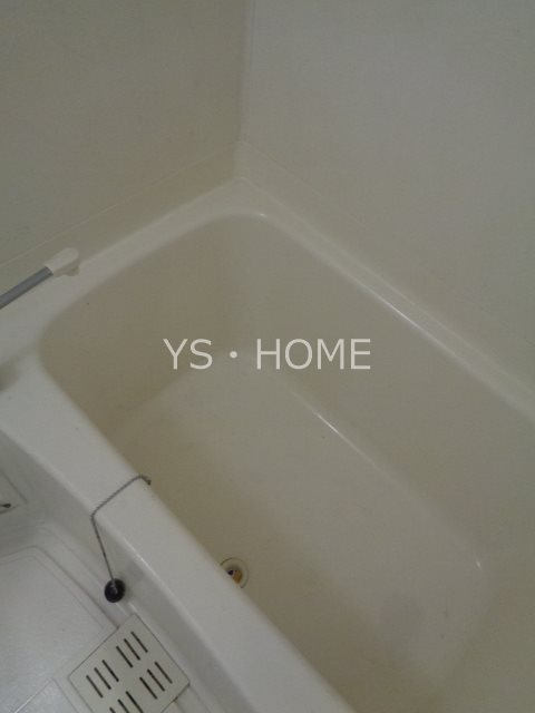 プラム　 その他18