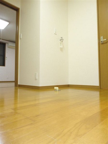 リバーハイツ リビング