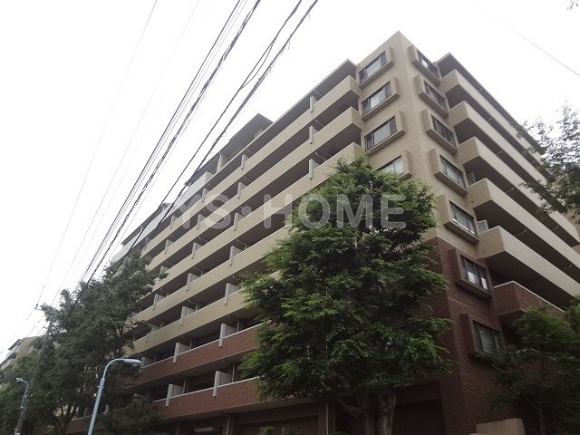 その他11