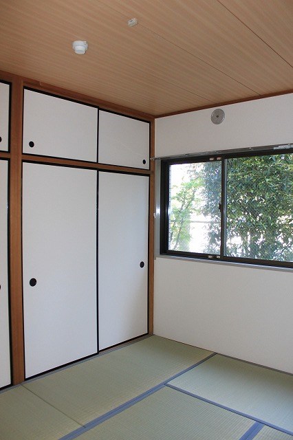 その他11