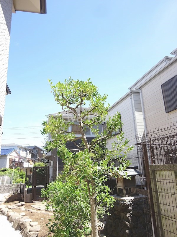 その他6