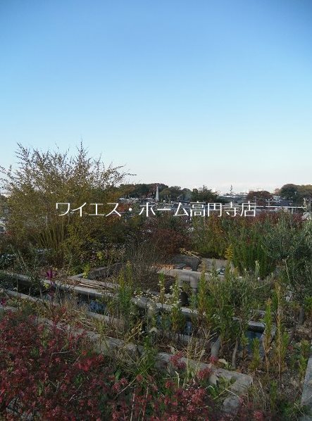その他6