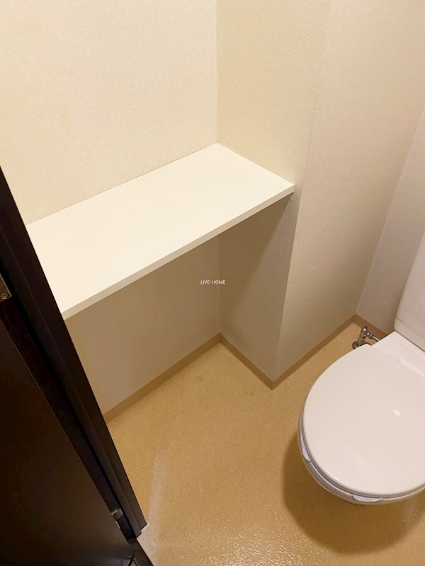 その他11