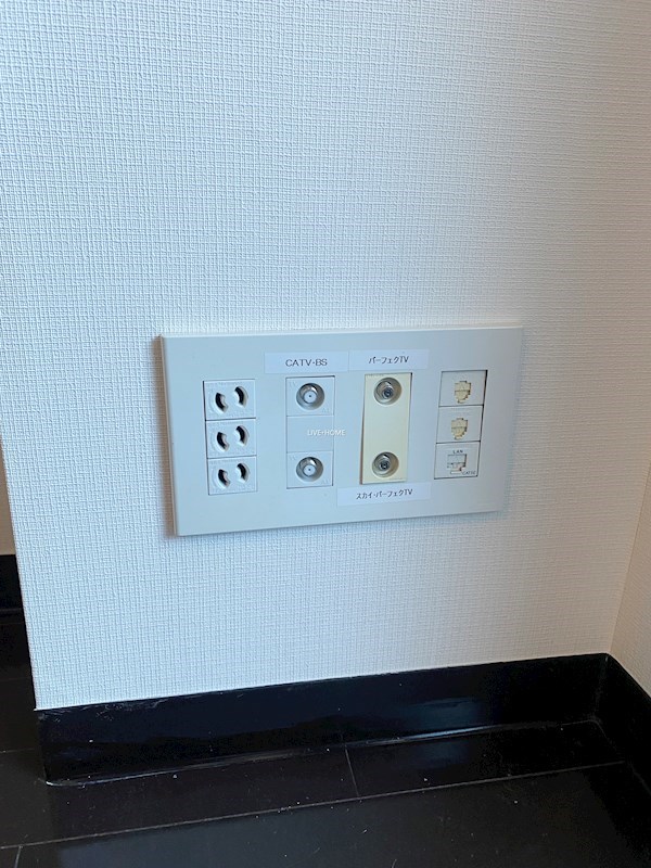 その他25