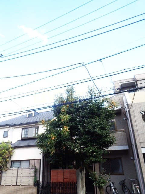 その他5