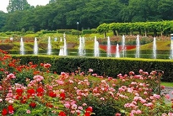 オーヴェスト深大寺 周辺画像5