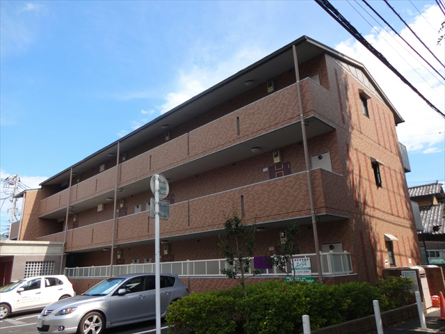 ＺＥＬＫＯＶＡ　ＧＡＲＤＥＮ　 その他外観2