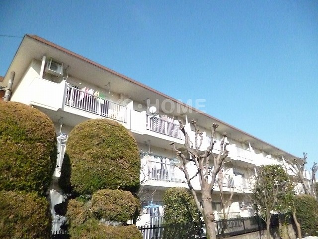 その他7