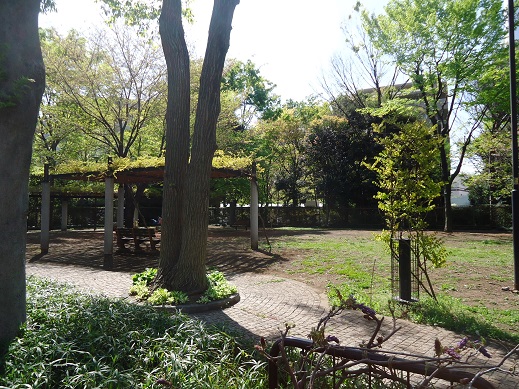 プレミアコンフォート高井戸 周辺画像5