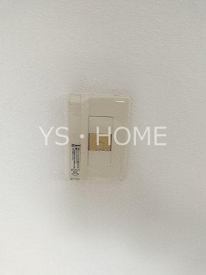 セコンダステラ　　 その他10