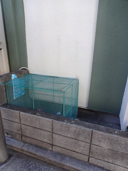 セコンダステラ　　 その他11