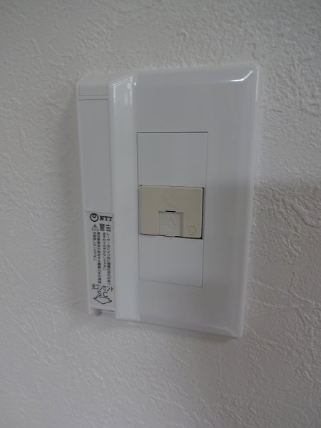 セコンダステラ　　 その他12