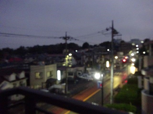 その他1