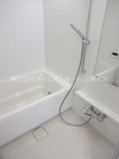 アルタマレア  その他14