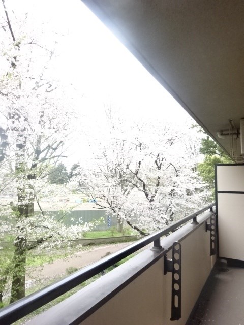 その他9