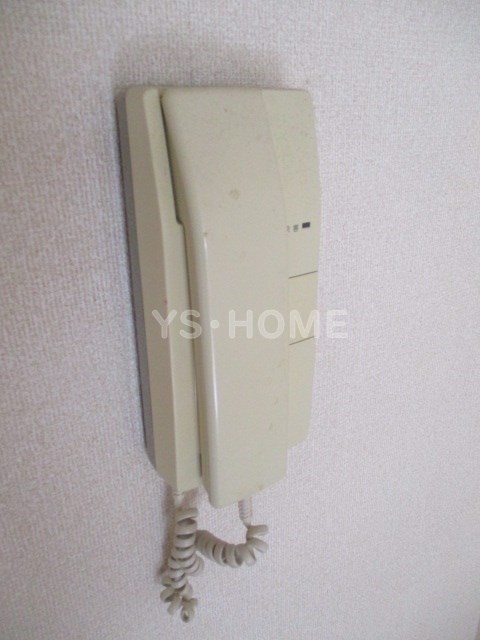 CRESTED OHI その他5