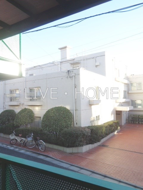 その他17