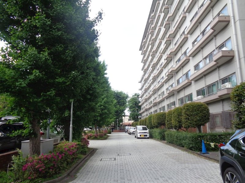 上石神井ハイム３号棟 その他14