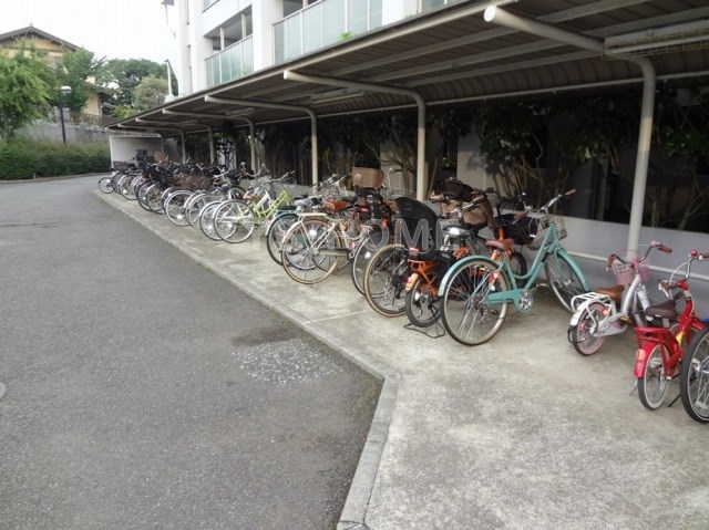 その他15