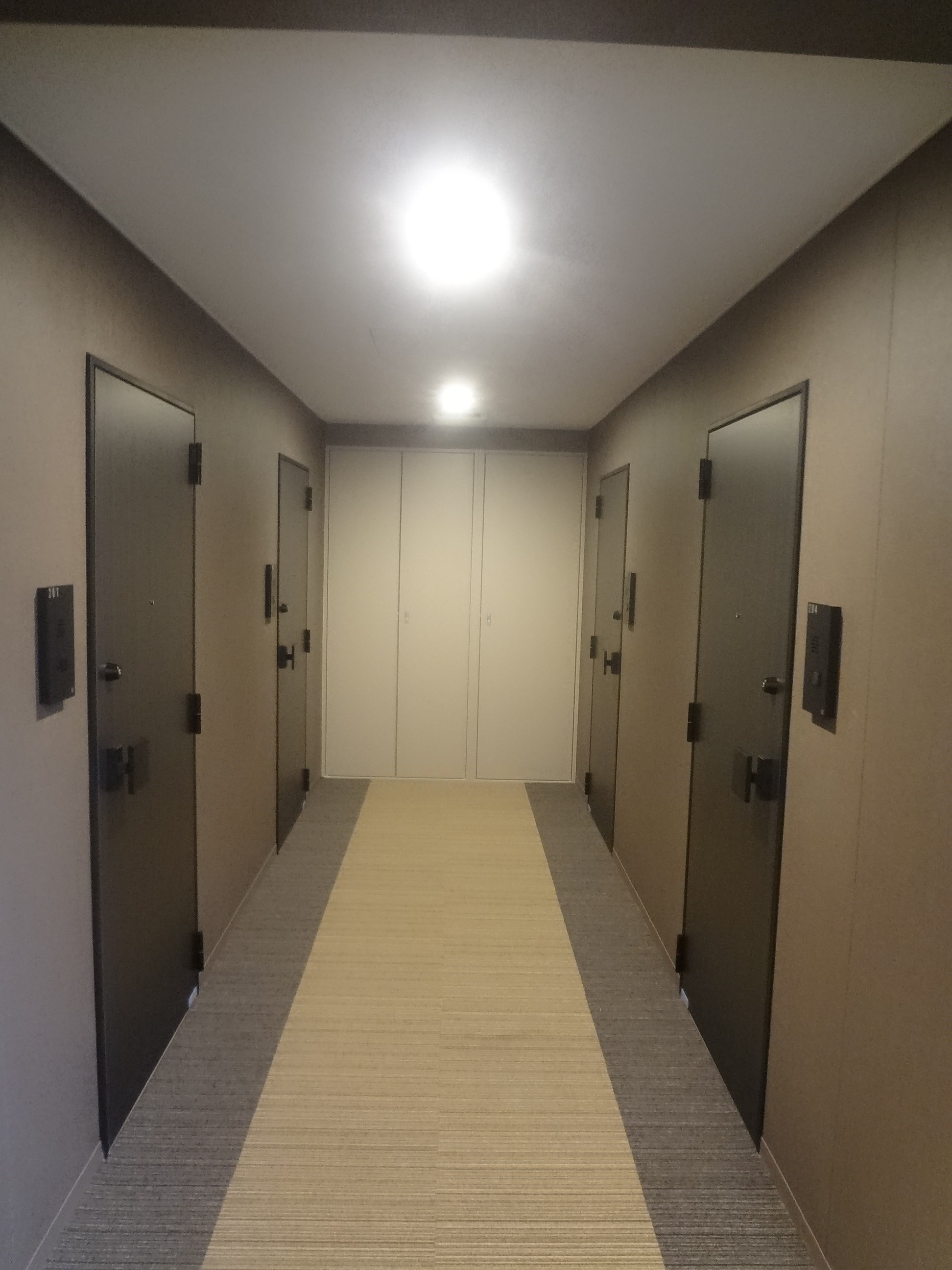その他20