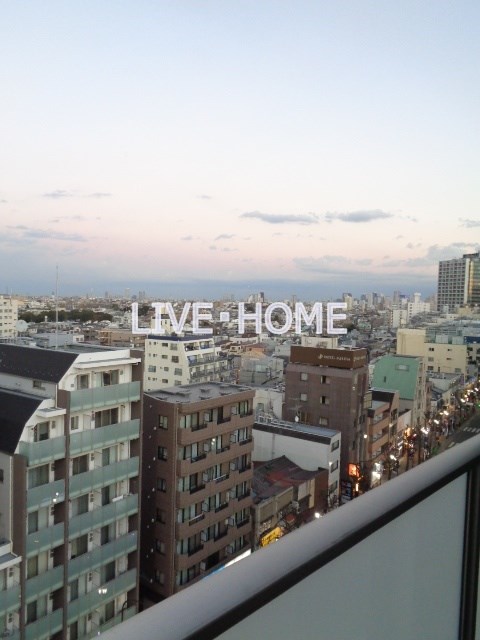 その他11