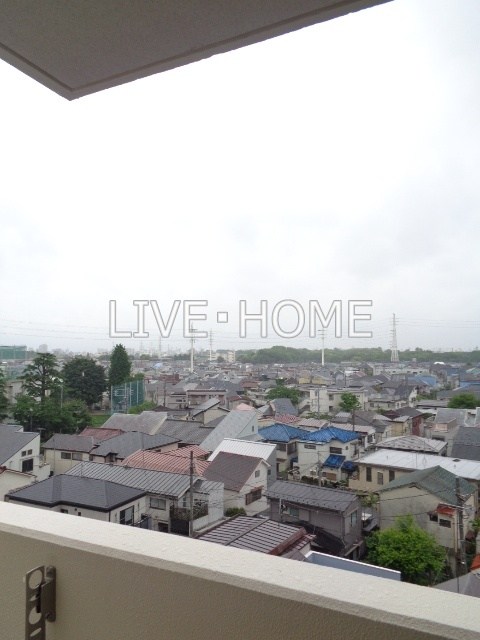 その他24