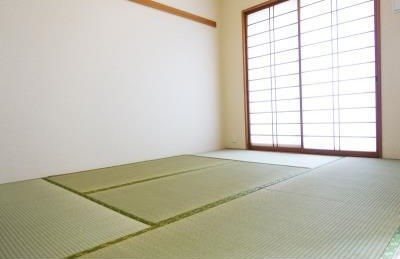 その他14