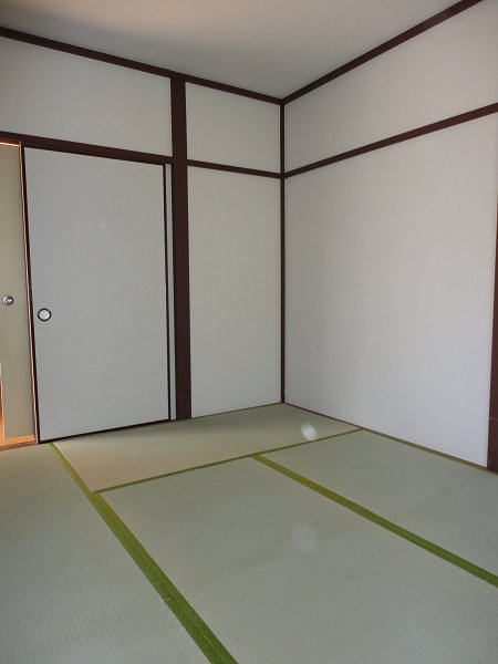 その他11