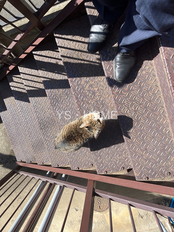 陽光ハウス その他18