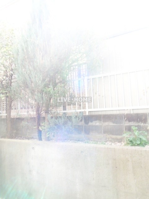 その他17