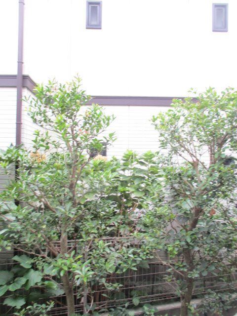 その他7