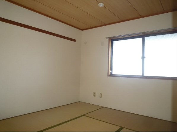 その他13