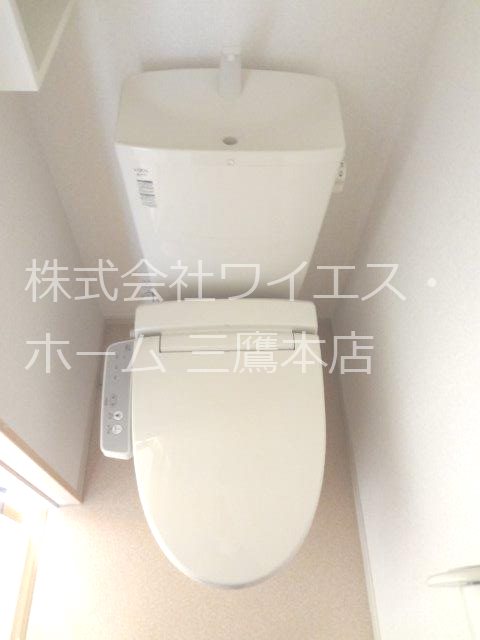 オリーブ その他2