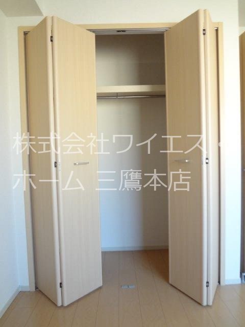 オリーブ その他5
