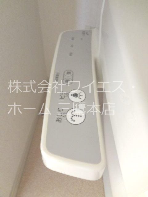オリーブ その他6