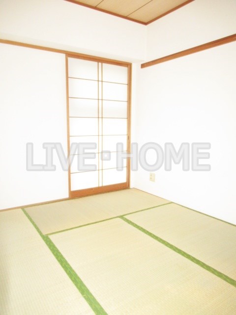 その他11