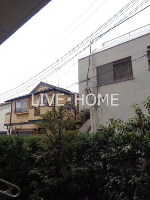その他13