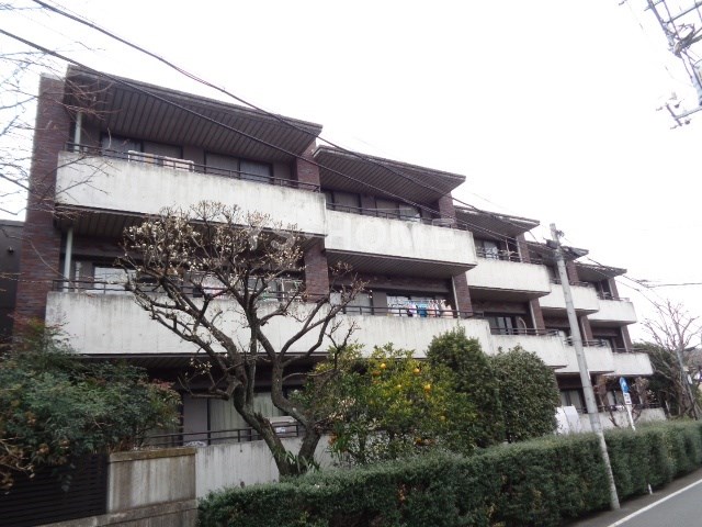 その他11